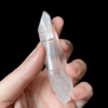 Brazilian Lemurian - BLM48 1