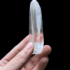 Colombian Lemurian - COLM2 1