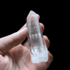 Colombian Lemurian - COLM2 3