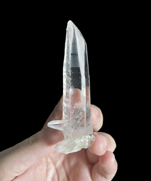 Colombian Lemurian COLM41 main