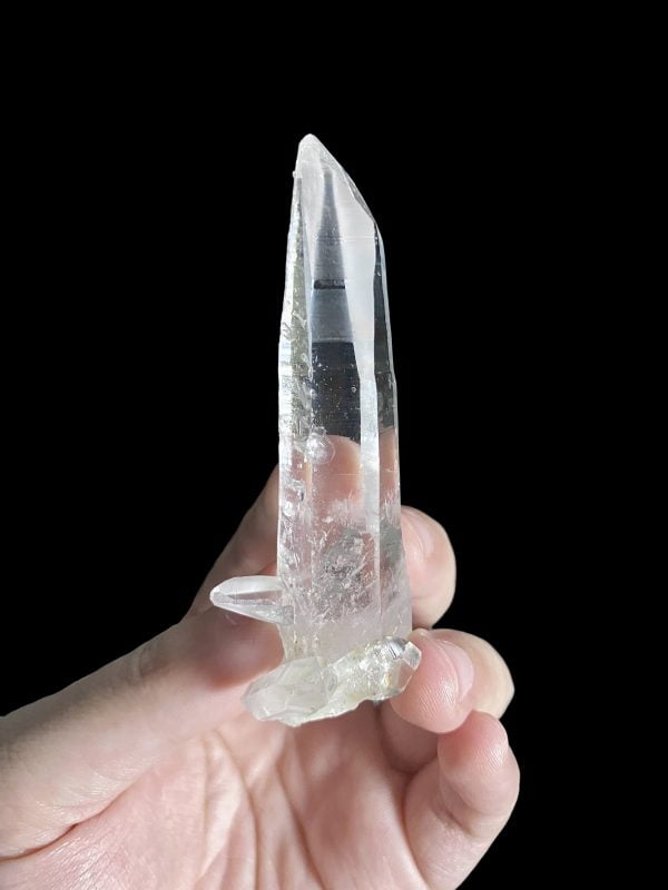 Colombian Lemurian COLM41 main