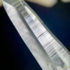 Colombian Lemurian COLM9 2