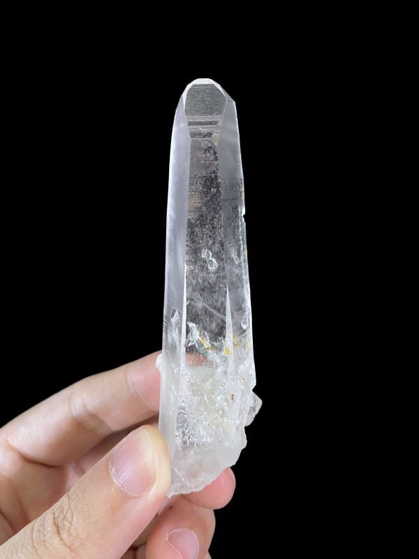 Colombian Lemurian COLM9 main