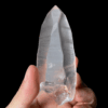 Lemurian Seed - BLM21 1