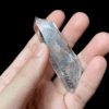 Lemurian Seed Quartz Crystal Phantom BLM27 3
