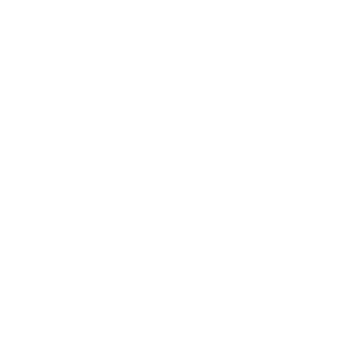 Temporal Crystal