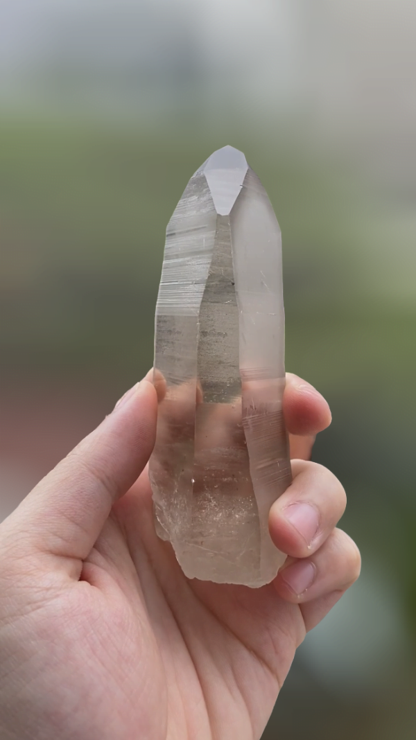 Brazilian Smoky Lemurian Seed Quartz Crystal 204g - BLM4 main