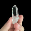 COLM22 Lemurian 3