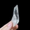 Colombian Lemurian COLM24 3