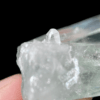 Colombian Lemurian COLM24 5