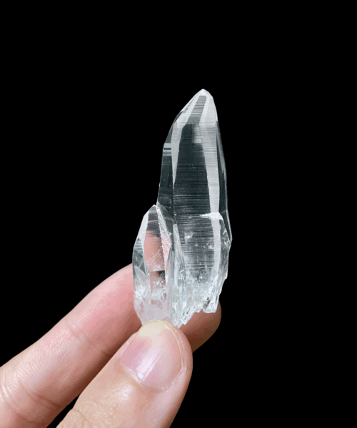Colombian Lemurian COLM24 main