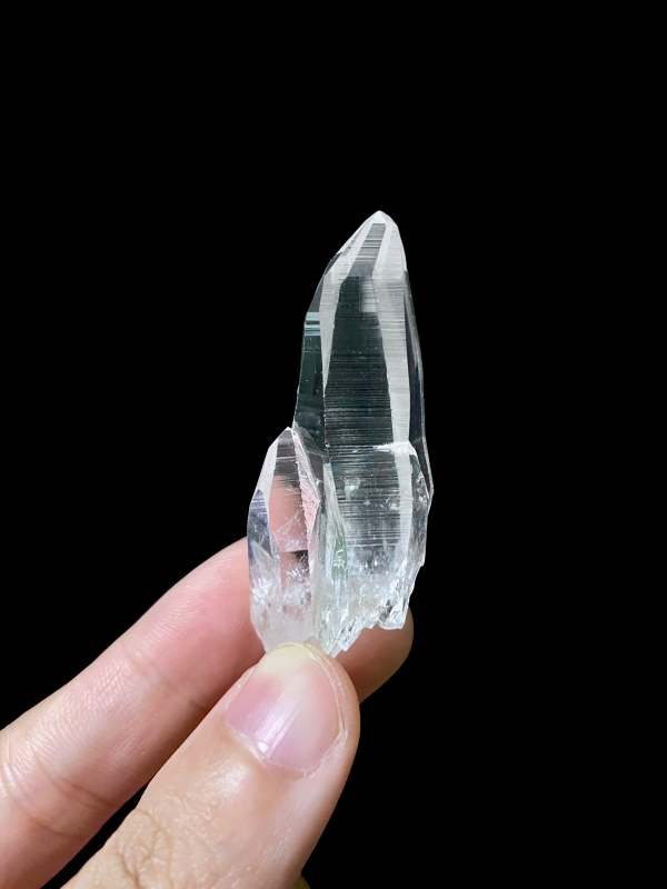 Colombian Lemurian COLM24 main