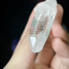 Colombian Lemurian COLM34 2