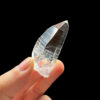 Colombian Lemurian COLM4601 - 2