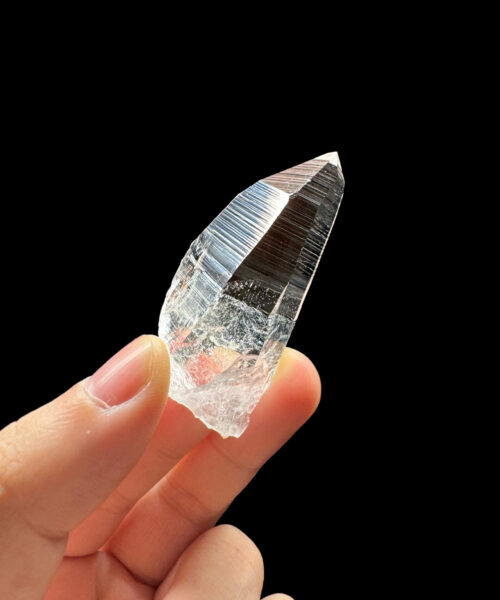 Colombian Lemurian COLM4601 - 2