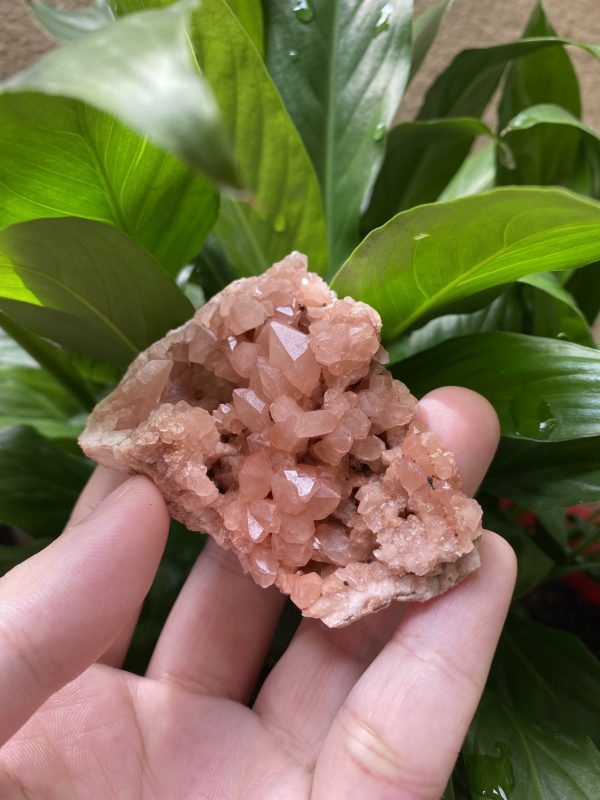 Hốc Pink Amethyst 65.1 g - APA6