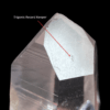 Lemurian Quartz • Trigonic Record Keeper (Colombia) 33.8g - COLM31 3
