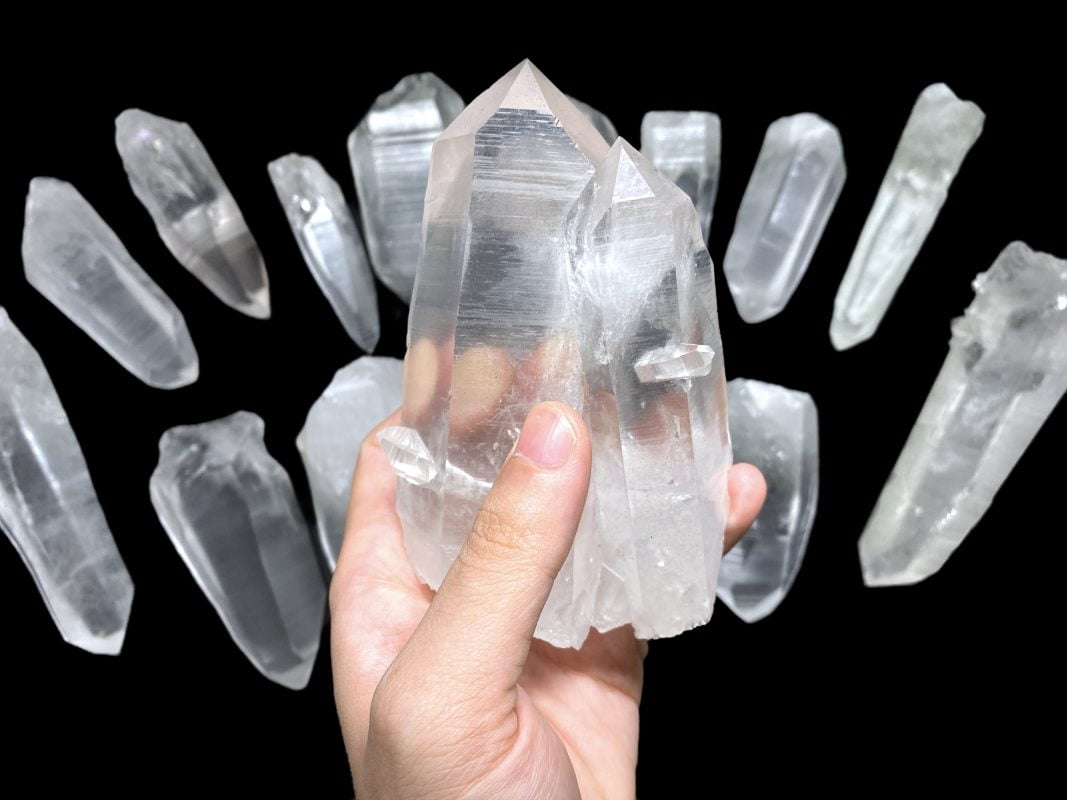 Lemurian seed background