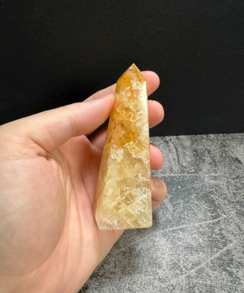 BGH4-Tru-da-Golden-Healer-Brazil-tren-tay