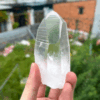 Brazilian Lemurian Seed