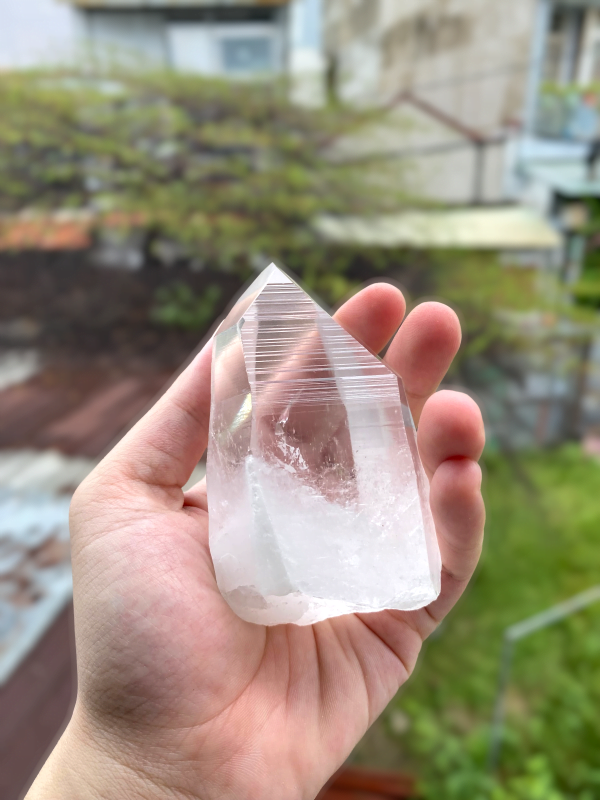 Brazilian Lemurian Seed Quartz