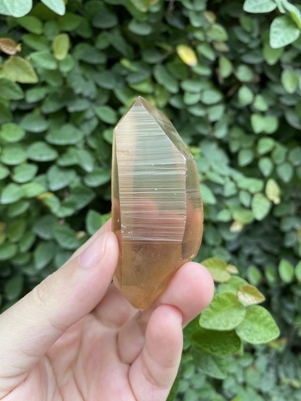 Tangerine Lemurian Seed nhập từ Brazil