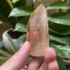 Tangerine Lemurian Seed với Starbarry và Glyphs trên thân