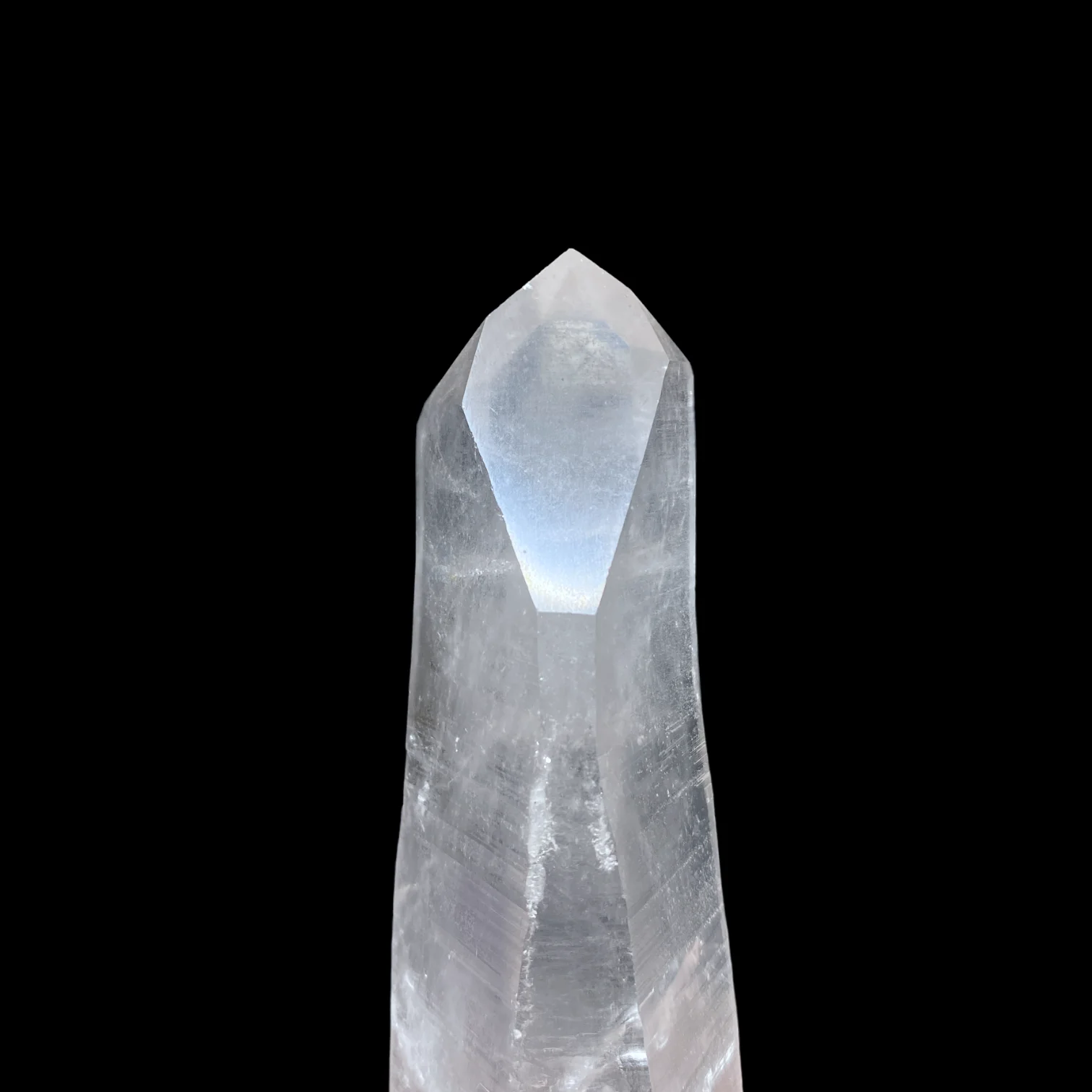 Lemurian có dáng Dauphine 1