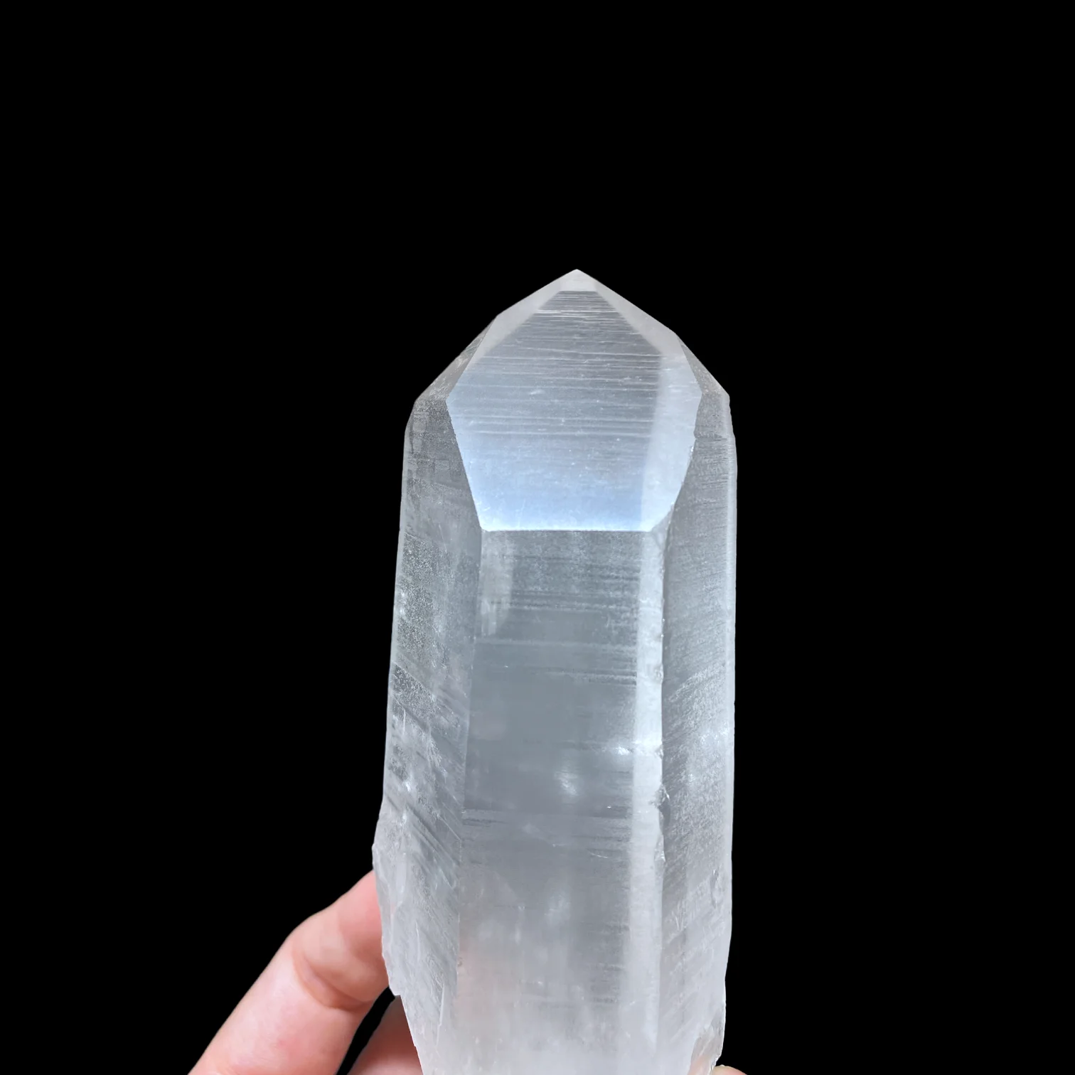 Lemurian có dáng Dauphine 3