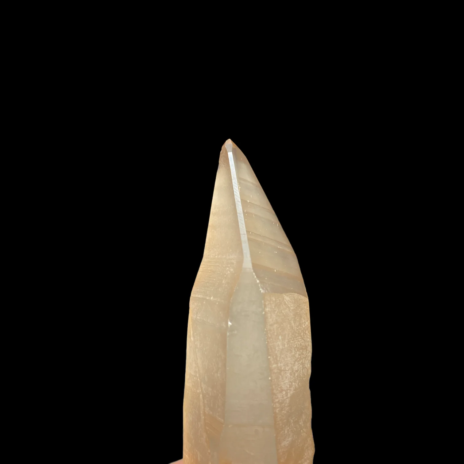 Lemurian dáng muzo 1