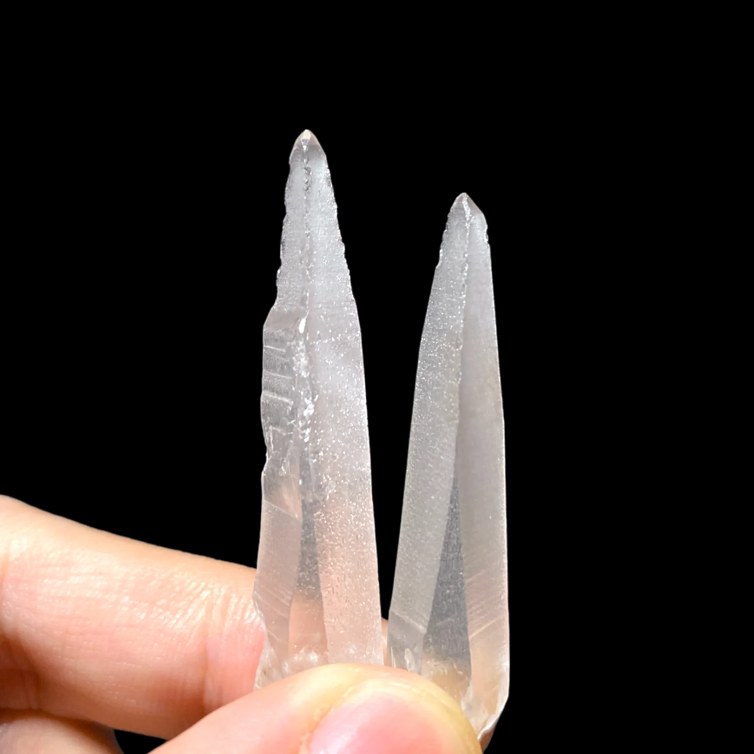 Lemurian dáng muzo 2