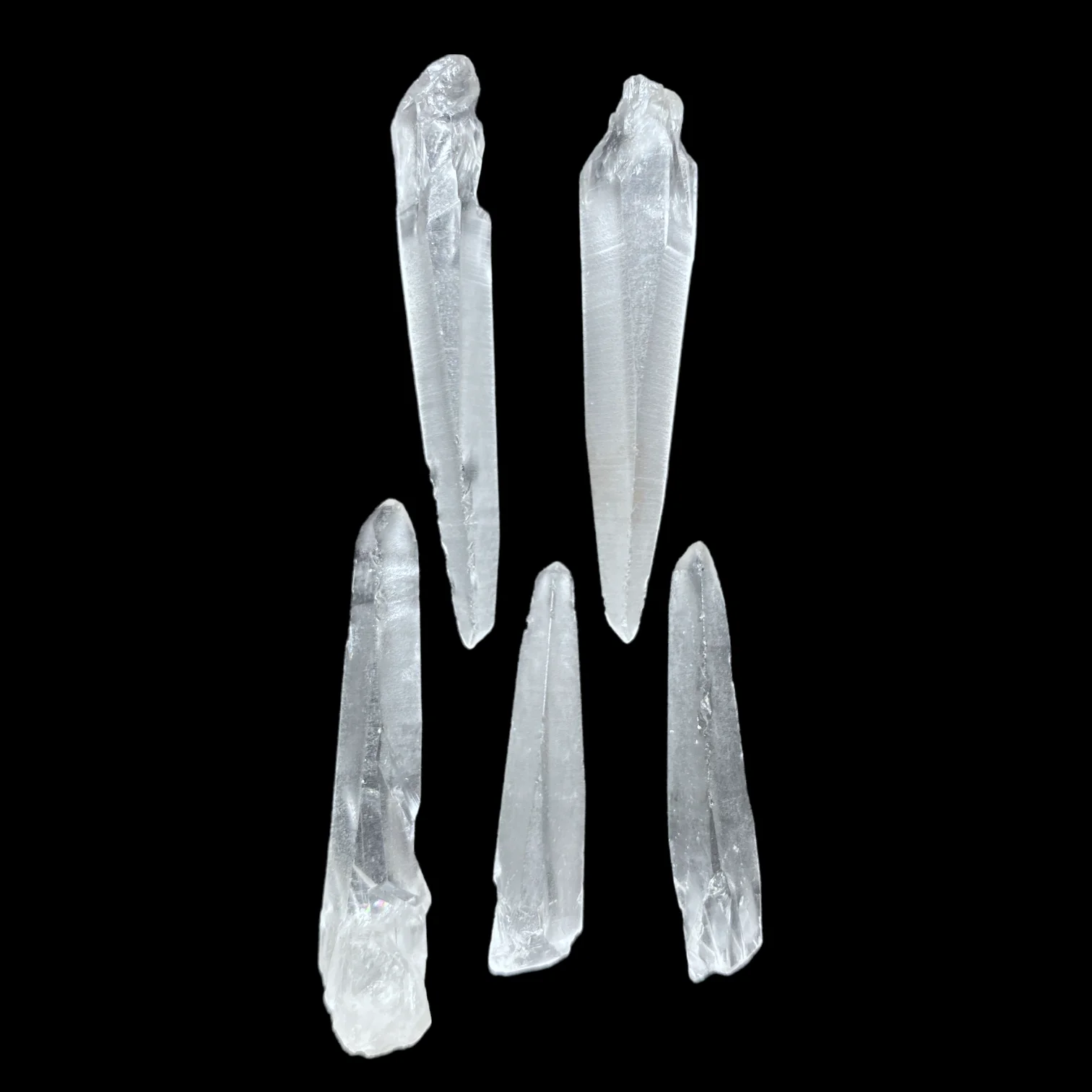 Lemurian dáng muzo 3