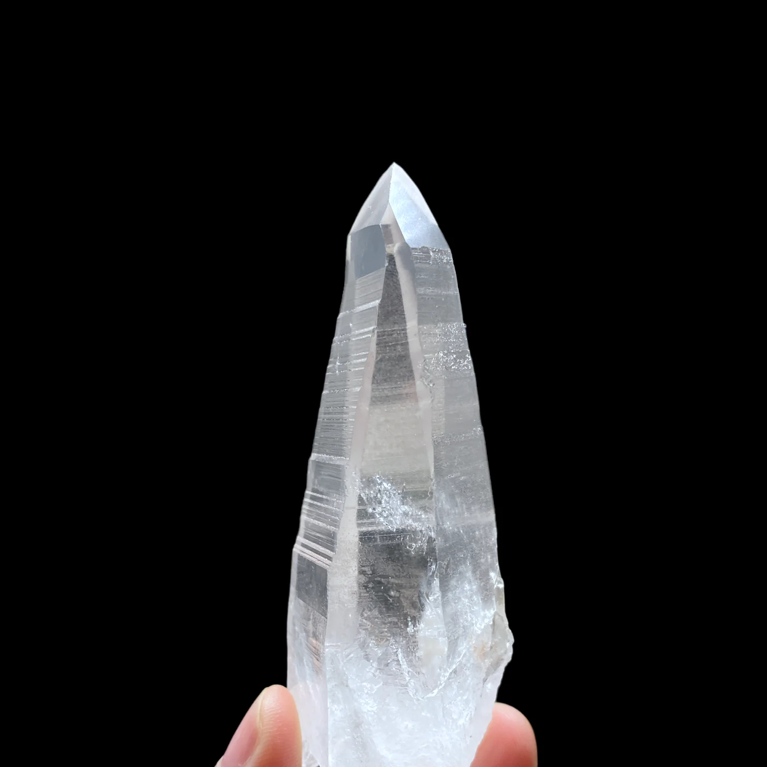 Lemurian tessin 1