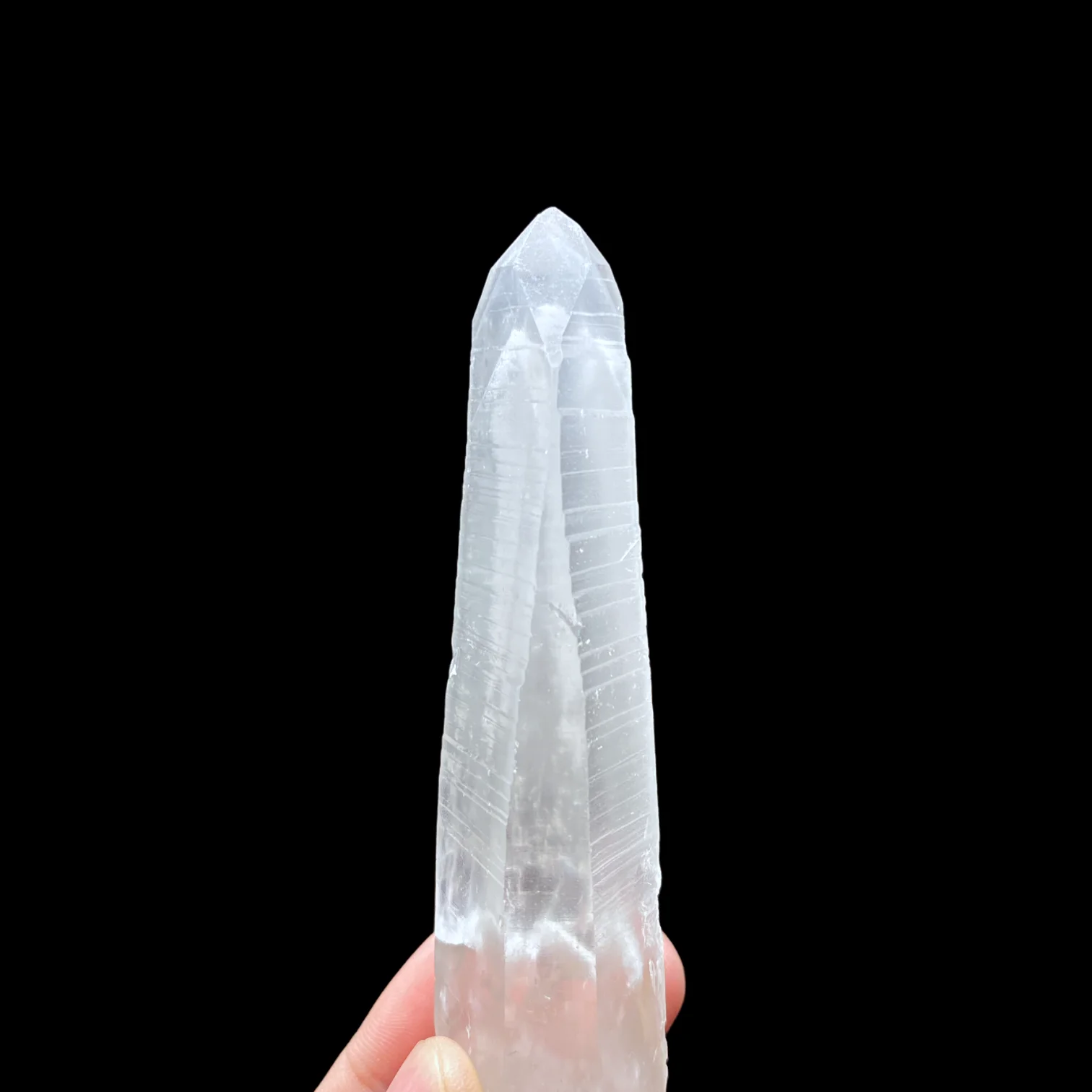 Lemurian tessin 2