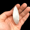 Selenite Palm hình chiếc lá 2