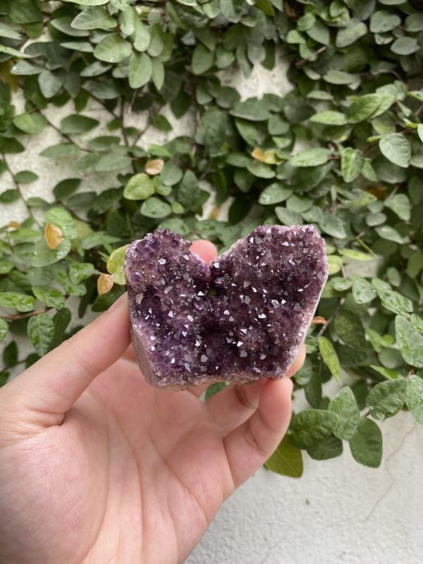 Cụm hoa Amethyst từ Turkey