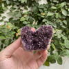 Cụm hoa Amethyst từ Turkey