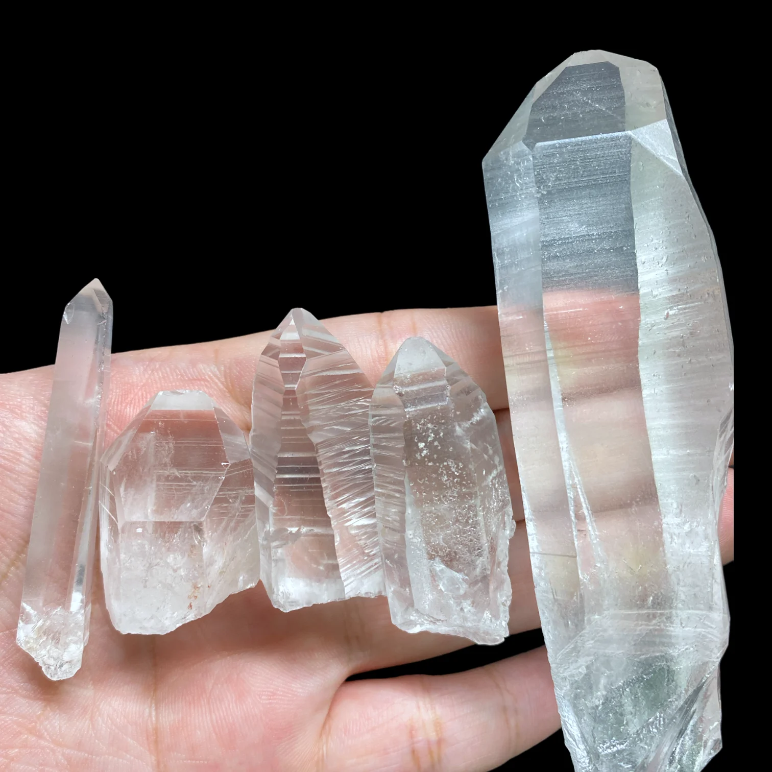 Nhận biết Brazilian Lemurian 1