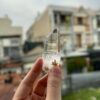COLM5 Colombian Lemurian Penas Blancas