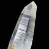 Colombian Lemurian COLM5 2