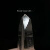 Combo 5 viên Lemurian Quartz 38.2g - CMLM1 vien 1 Record Keeper
