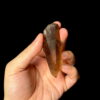 Smoky Lemurian BSLM4 photo 1