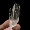 COLM38 Colombian Lemurian Phantom 1