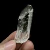 COLM38 Colombian Lemurian Phantom 2