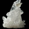 Colombian Lemurian COLM45 photo 03
