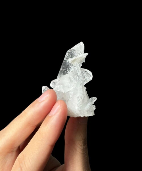 Colombian Lemurian COLM45 photo 1