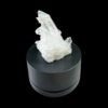 Colombian Lemurian COLM45 photo 5