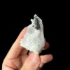 Colombian Lemurian COLM45 photo main