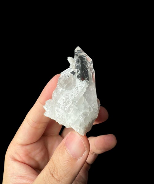 Colombian Lemurian COLM45 photo main