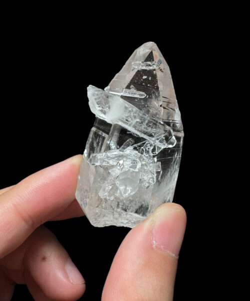 COLM48 Colombian Lemurian 1